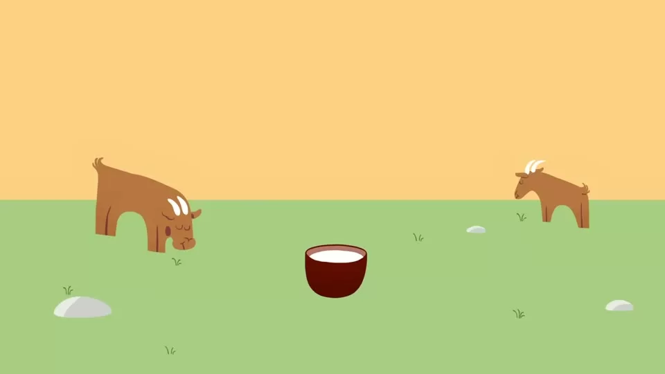 A Brief History of Cheese: How a Chance Discovery Became a Global Food