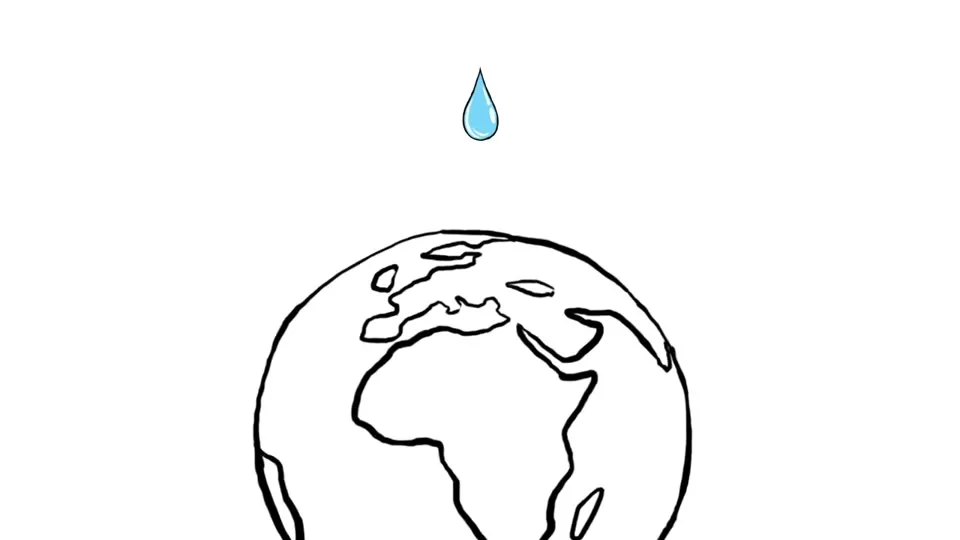 Diagram showing how much of the human body is made of water
