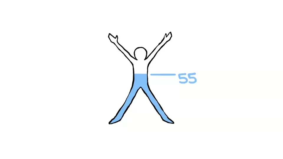 Visual explanation of how much of the human body is made of water