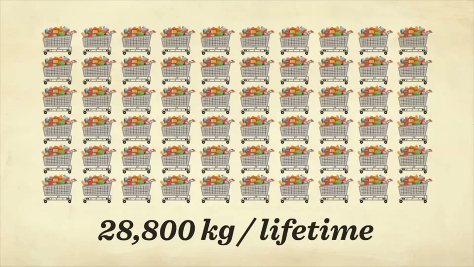 Diagram of the digestive system showing the long path food follows through the body