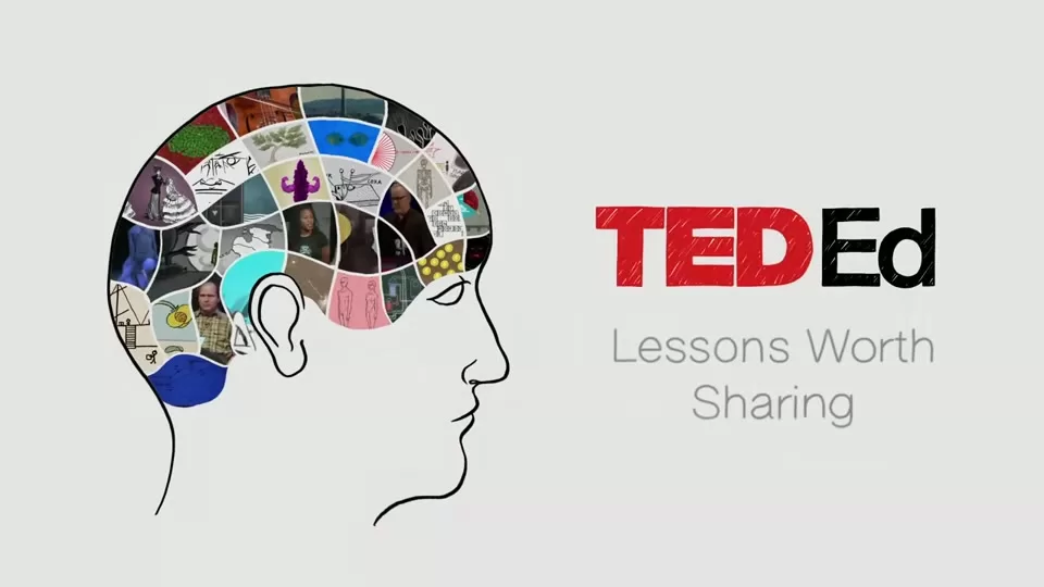 A thoughtful collection of unresolved questions about life, consciousness, and the universe