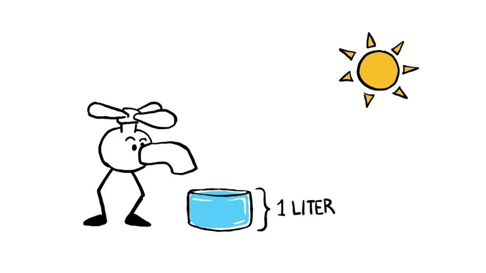 Illustration of the brain, kidneys, and urine concentration during dehydration
