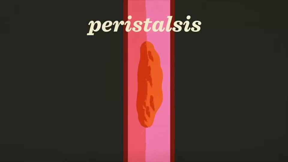 Food moving through the esophagus toward the stomach
