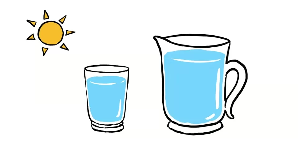 Daily water intake guidance and general hydration needs