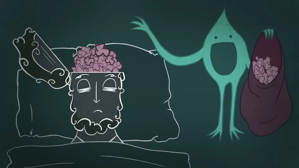 Medical illustration of the brain showing the thalamus and sleep regulation